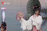 梨花情