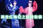再世红梅记 全折音频 字幕