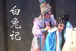 白兔记 节选