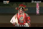 千面老倌戏人生下载