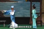 真假俏郎君