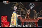 新霸王别姬