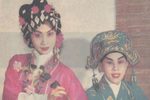 蝶影红梨记下载