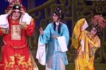 醉打金枝下载