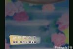 崔护情未了