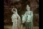 桃花仙子 全剧下载