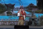 狄青闯三关下载