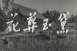 黛玉葬花
