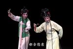 赏花