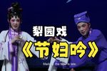 节妇吟又名断指记 高清完整版