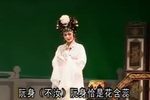 谗言误