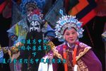 杨令婆监军 下
