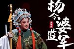 杨令婆监军