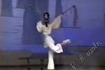 白蛇传·盗草 赣剧 1988-11 北京人民剧场