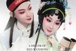 红楼梦 青春版·赣剧 第三部