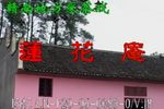 莲花庵 下