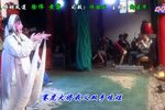 蝴蝶杯