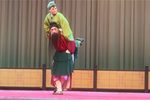 拒招扑火下载