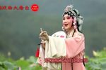 姹紫嫣红