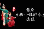 杨八姐游春 选段下载