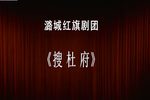 搜杜府