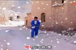 何时归故园下载