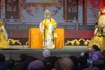 忠报国 二进宫