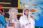 杨七娘