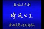 琦风公主