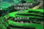 寸草心