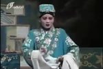 真假牡丹