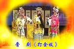 打金枝下载