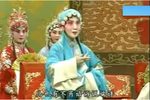 算粮》