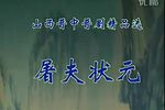 屠夫状元