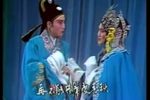 孔雀东南飞
