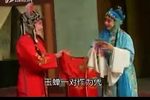 玉蝉泪