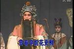 狸猫换太子 全本下载