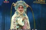 下河东·打驾下载