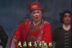 金麟麟 全本下载