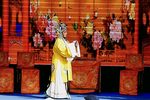 打金枝下载