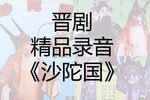 沙陀国》