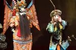 杨门女将 全本
