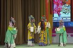 打金枝 下下载