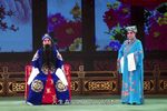 芦花 全本高清