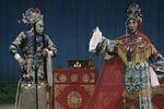 狸猫换太子
