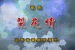 梨花情
