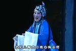 卖妙郎·女忠孝 全本下载