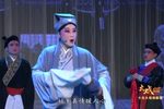 珍珠塔 全本