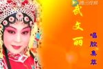 打金枝 全剧  经典版