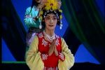 梨花情 晋剧全本